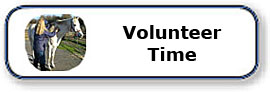 Volunteer Time